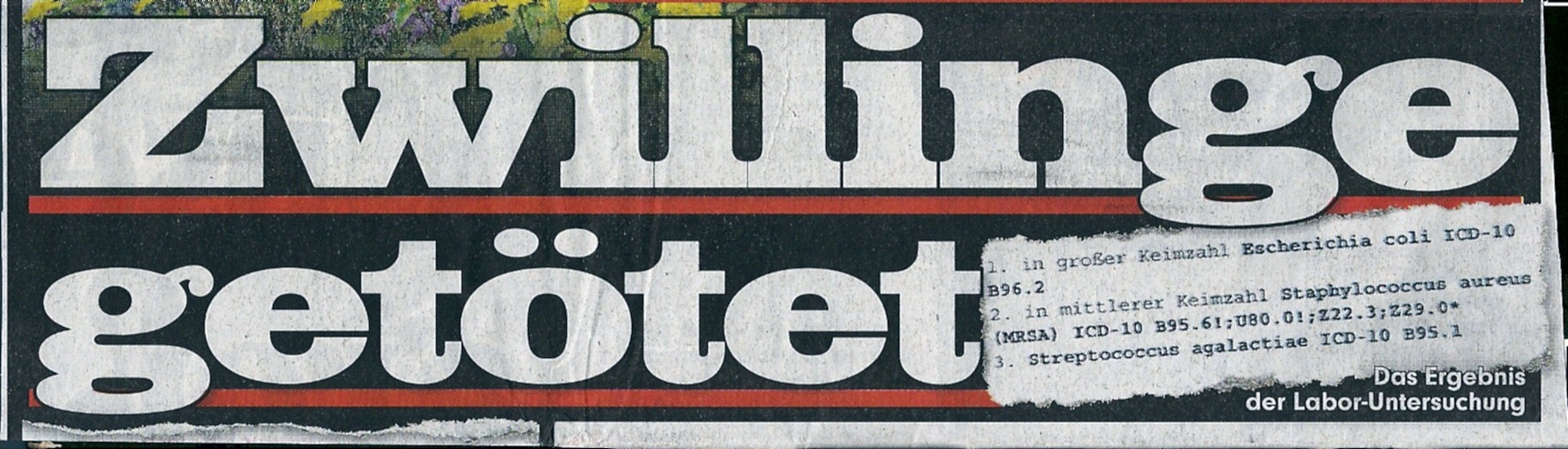 Silvia Bildzeitung 010002