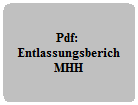 ZUM PDF ENTLASSUNGSBERICHT MHH