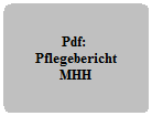 ZUM PDF PFLEGEBERICHT MHH